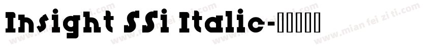 Insight SSi Italic字体转换